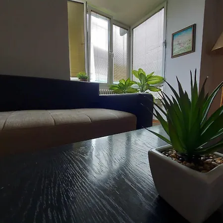 Compass 4 - Central Cosy *