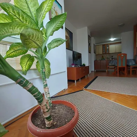 Apartment Compass 4 - Central Cosy